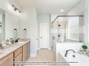 145  Whistling Duck Drive , Balch Springs Texas 75181