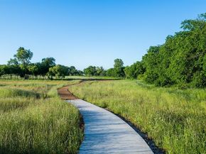 1216  White Dove Drive , Little Elm Texas 75068