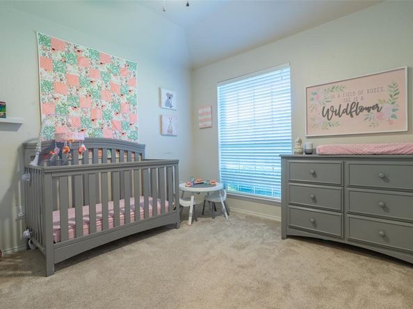 317  Rain Tree Drive , Sunnyvale Texas 75182