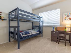 317  Rain Tree Drive , Sunnyvale Texas 75182