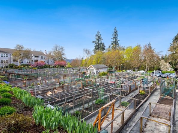 4084 220th Place SE 1038, Issaquah WA 98029