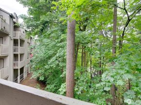 10819 NE 37th Place 224, Bellevue WA 98004