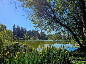 1126 N 198th Street B302, Shoreline WA 98133