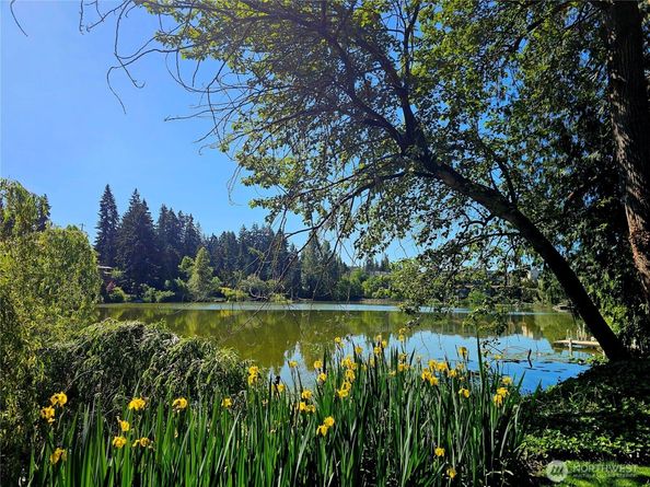 1126 N 198th Street B302, Shoreline WA 98133