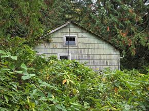 22123 NE 170th Place, Woodinville WA 98077