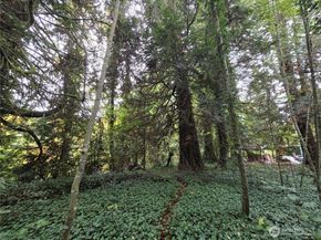 22123 NE 170th Place, Woodinville WA 98077