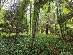 22123 NE 170th Place, Woodinville WA 98077