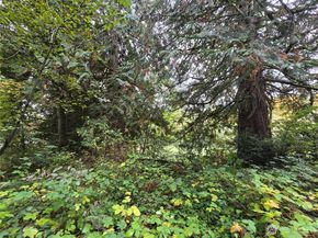 22123 NE 170th Place, Woodinville WA 98077