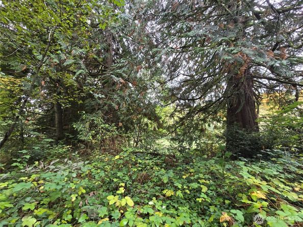 22123 NE 170th Place, Woodinville WA 98077