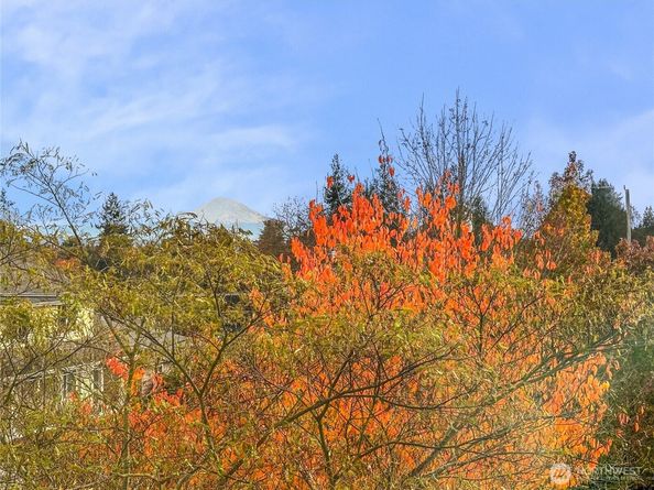 12037 Fremont Avenue N 1, Seattle WA 98133