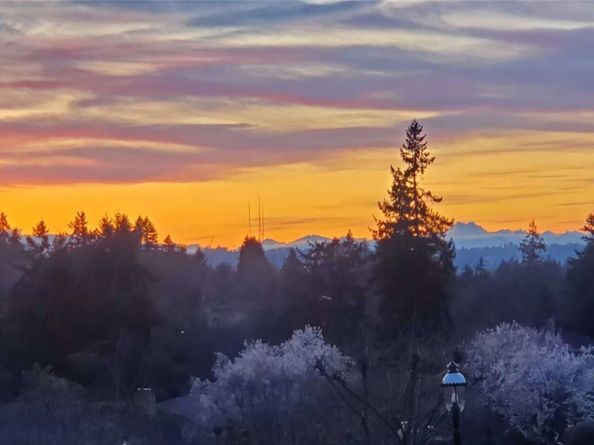 9355 Sunset Way, Bellevue WA 98004