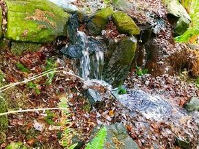 19414 Aurora Avenue N 107, Shoreline WA 98133