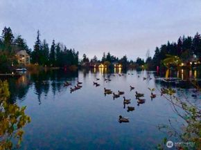 19414 Aurora Avenue N 107, Shoreline WA 98133