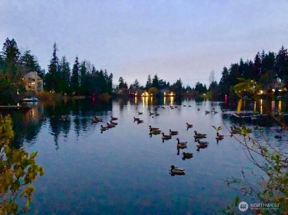 19414 Aurora Avenue N 107, Shoreline WA 98133
