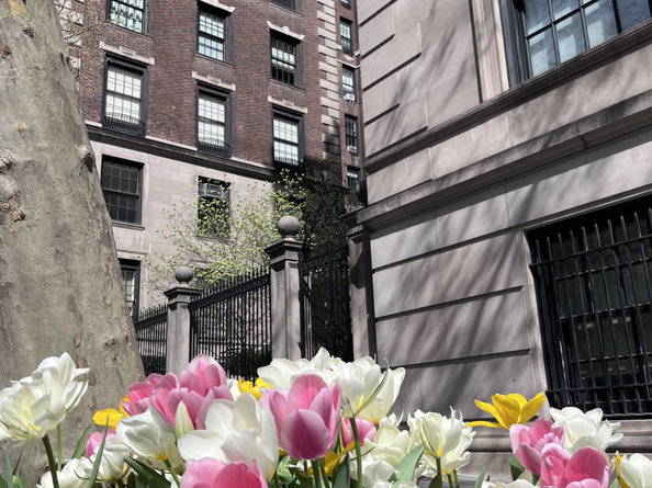 655 Park Avenue 7D, New York NY 10065