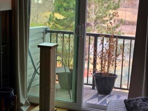 1250 Golden Circle 305, Golden CO 80401