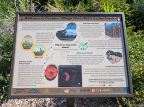 1711 Cato Circle 21, Lafayette CO 80026