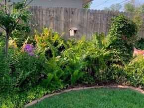 221 Magnolia Street, Denver CO 80220