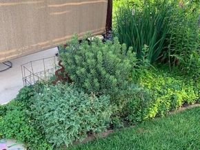 221 Magnolia Street, Denver CO 80220