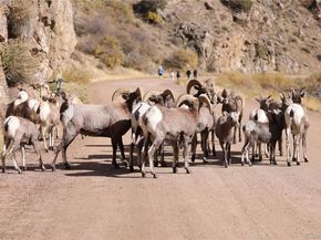 5021 S Robb Street, Littleton CO 80127