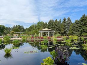 1243 N Gaylord Street 205, Denver CO 80206