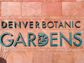 1243 N Gaylord Street 205, Denver CO 80206