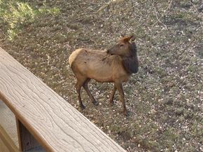 23660 Pondview Place E, Golden CO 80401