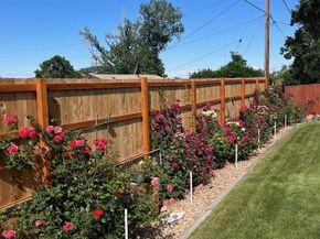 1231 W 102nd Place, Northglenn CO 80260