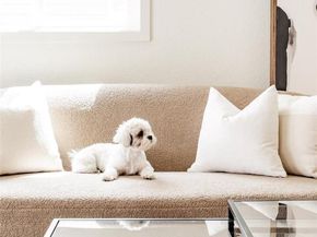 1973 Alton Street, Aurora CO 80010