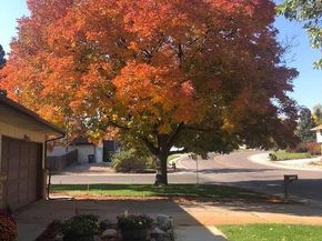 5750 W Fair Drive, Littleton CO 80123