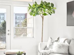 9033 E Northfield Boulevard, Denver CO 80238