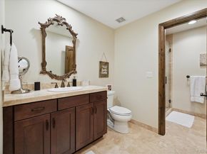 1124 S Saint Paul Street, Denver CO 80210
