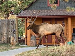 21531 Main Avenue, Golden CO 80401
