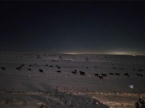 15709 W 95th Place, Arvada CO 80007