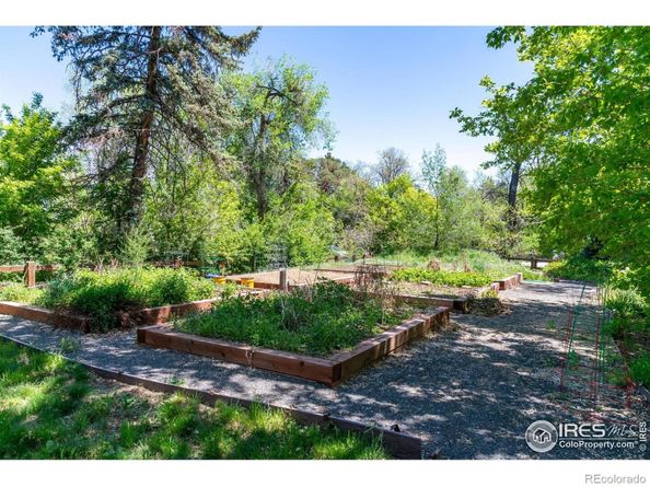 3341 Yukon Court, Wheat Ridge CO 80033