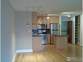 1121 Albion Street 205, Denver CO 80220