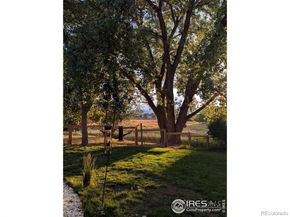 1321 Alexandria Street, Lafayette CO 80026