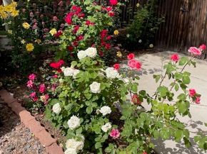 10443 King Street, Westminster CO 80031