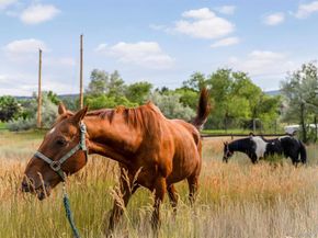 12196 W Belleview Drive, Littleton CO 80127