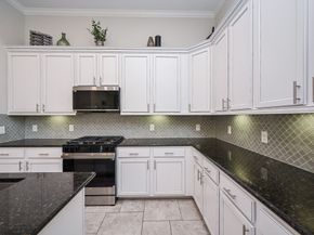 10523 Paula Bluff Lane, Cypress TX 77433