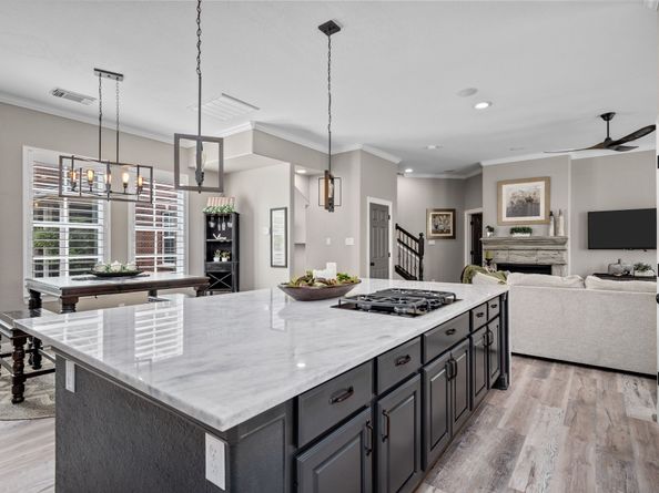 39 History Row, The Woodlands TX 77380