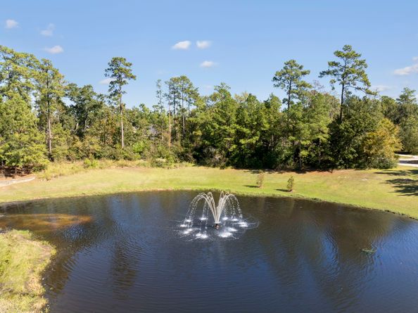 31 N Spinning Wheel Circle, The Woodlands TX 77382