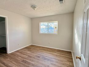 13034 Birch Grove Drive, Houston TX 77099