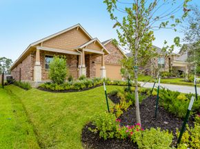 16 Florentino Vine Place, The Woodlands TX 77354