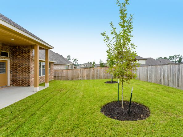 16 Florentino Vine Place, The Woodlands TX 77354