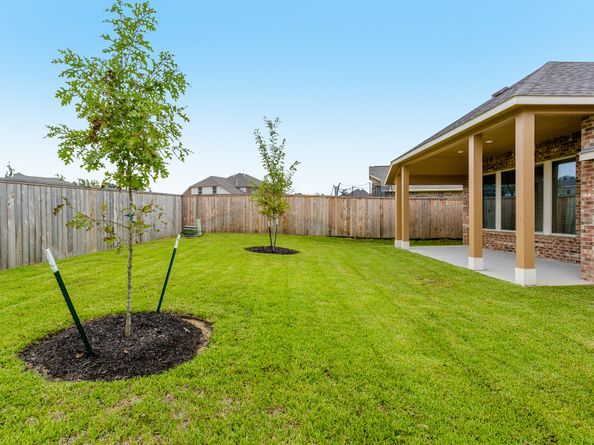 16 Florentino Vine Place, The Woodlands TX 77354