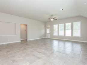 16 Florentino Vine Place, The Woodlands TX 77354