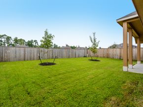 16 Florentino Vine Place, The Woodlands TX 77354