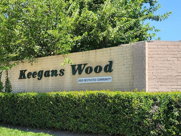 13950 Ashdale Lane, Houston TX 77083