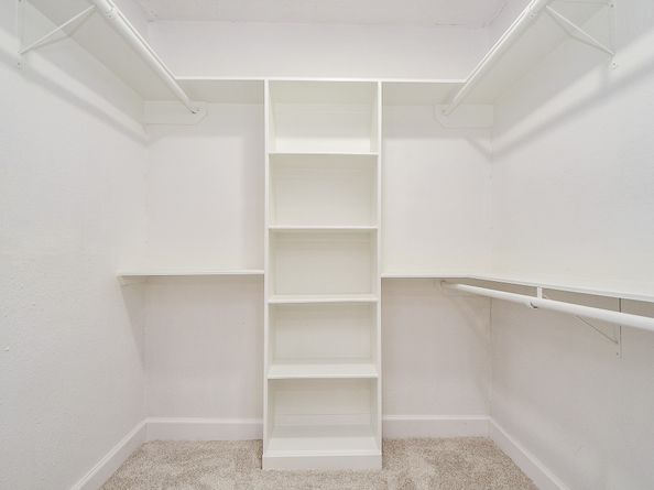 3702 Charleston Street, Houston TX 77021